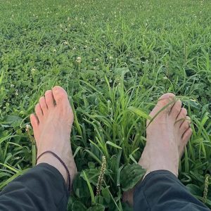 Earthing<br>